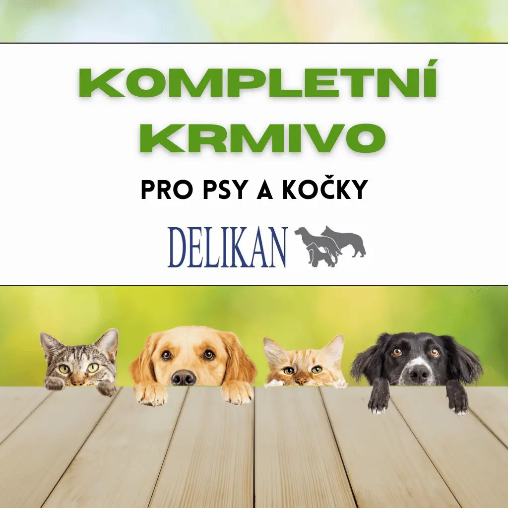 Krmivo pro psy a kočky Delikan